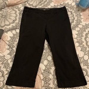 lee style up pull on pants petite